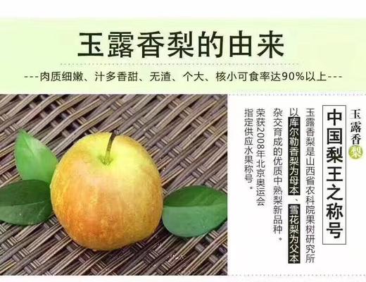 玉露梨香梨 礼盒10枚装大果 商品图4