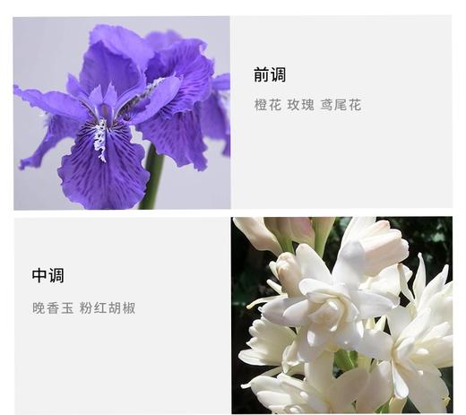 DIPTYQUE/蒂普提克 杜桑淡香水 50MLJPY带授权招加盟代理 商品图4