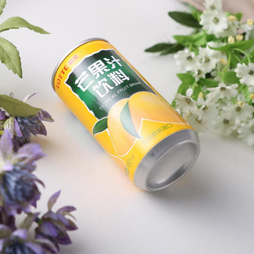 韩国原装进口乐天(Lotte) 180ml*15罐 芒果汁 饮料 整盒 商品图3