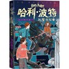 哈利·波特与魔法石 2 商品缩略图0