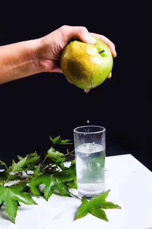 玉露梨香梨 礼盒10枚装大果 商品图6