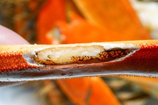 5.5两特大公蟹上线，爆黄阳澄湖大闸蟹，闭着眼睛买即可【诺诺精选】 商品图4