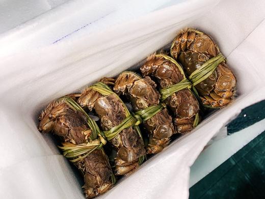 5.5两特大公蟹上线，爆黄阳澄湖大闸蟹，闭着眼睛买即可【诺诺精选】 商品图11