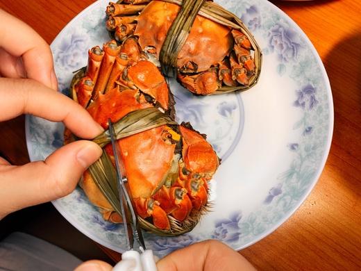 5.5两特大公蟹上线，爆黄阳澄湖大闸蟹，闭着眼睛买即可【诺诺精选】 商品图10