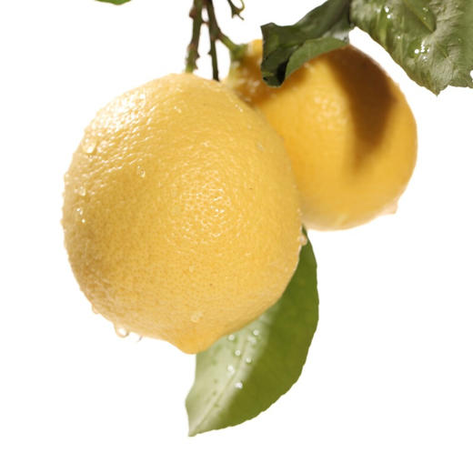【四川·安岳】新鲜柠檬 新鲜水果 黄柠檬 安岳柠檬 包邮 商品图2