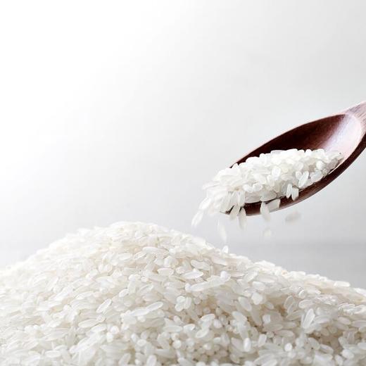 盛浪米道  绿色五常大米 5kg/袋  (005) 商品图1