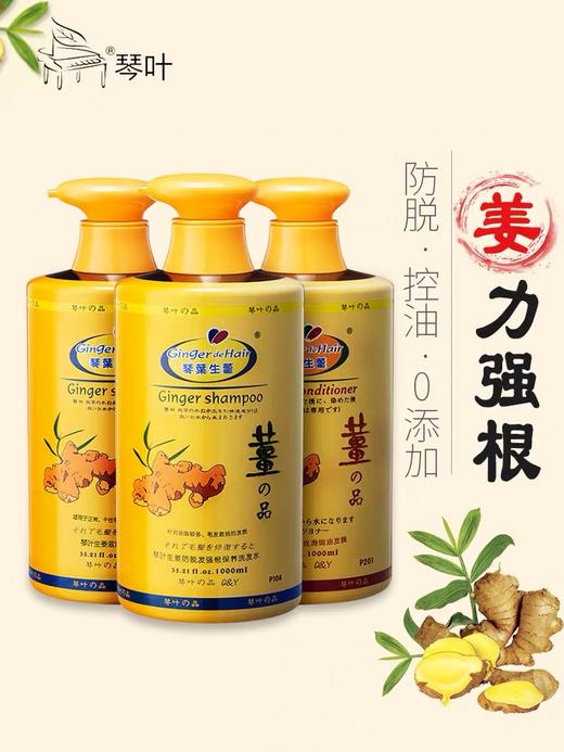 琴叶生姜去屑洗发水1000毫升/瓶4895177806830   1*24 商品图1