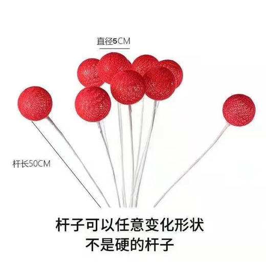 SLD糖果球花束灯（10个） 商品图3