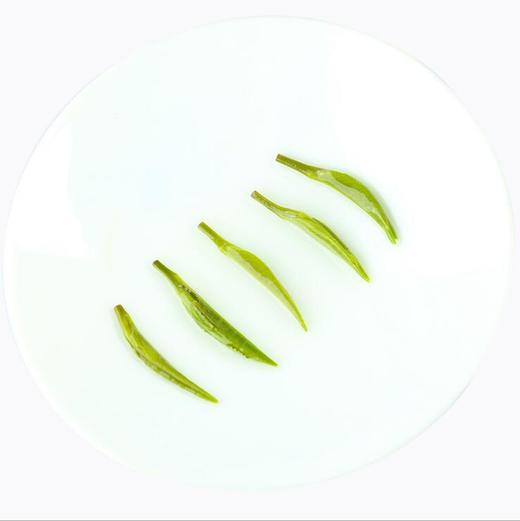 峨眉山云雾绿茶 特级青针 雨前嫩芽 竹叶型青茶 单芽雀舌 商品图4