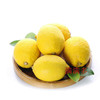 【四川·安岳】新鲜柠檬 新鲜水果 黄柠檬 安岳柠檬 包邮 商品缩略图3