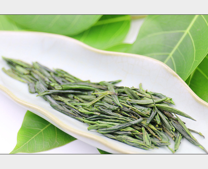 峨眉山云雾绿茶 雨前高山嫩芽 青针雀舌 500g