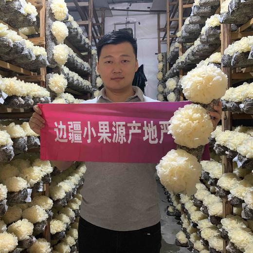 古田一级鲜银耳 6朵*约120g 商品图2