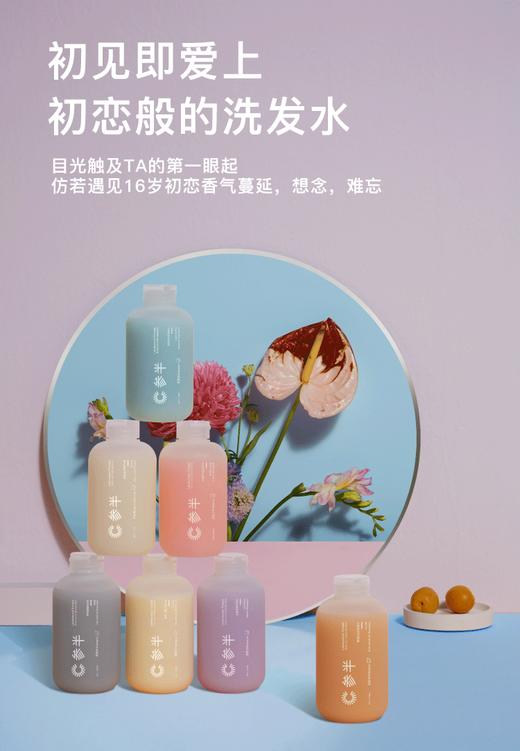 参半罗勒控油洗发水270mlJPY带授权招加盟代理 商品图6