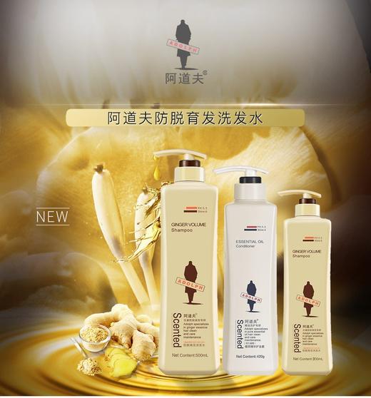 阿道夫生姜育发专研洗发水500ml（送小样3包）JPY带授权招加盟代理 商品图1