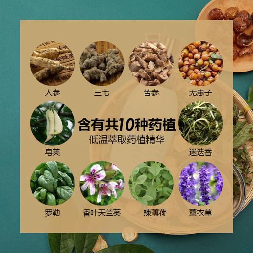 10种药植精华,2周轻松拥有"黑长直",远离油头头屑头痒,养发乌发固发
