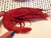 【西班牙进口】绯红虾 4-6头 500g/盒 冷冻新货 商品缩略图7