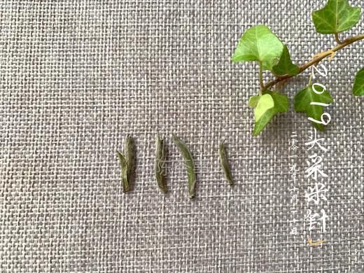 2019头采米针，香得温柔绵长的陌上桑 商品图7