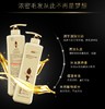 阿道夫生姜育发专研洗发水500ml（送小样3包）JPY带授权招加盟代理 商品缩略图3