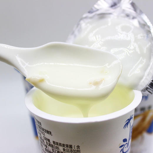 【推荐】新疆金绿成椰果燕麦果粒酸奶12杯*180克