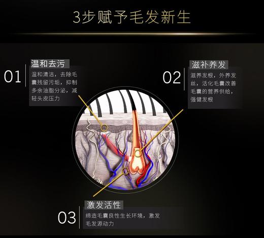 阿道夫生姜育发专研洗发水500ml（送小样3包）JPY带授权招加盟代理 商品图4