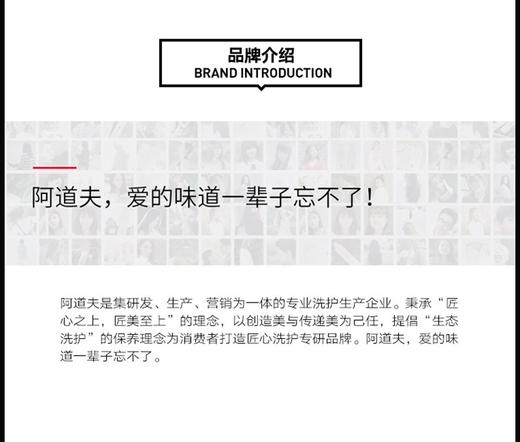 阿道夫生姜育发专研洗发水500ml（送小样3包）JPY带授权招加盟代理 商品图12