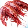 【西班牙进口】绯红虾 4-6头 500g/盒 冷冻新货 商品缩略图6