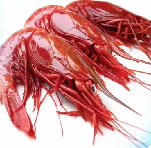 【西班牙进口】绯红虾 4-6头 500g/盒 冷冻新货 商品图6
