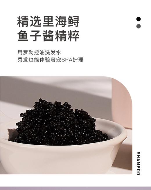 参半罗勒控油洗发水270mlJPY带授权招加盟代理 商品图7