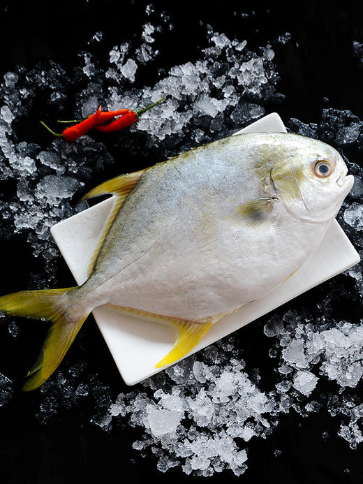 鲜活宰杀金鲳鱼1斤左右1条