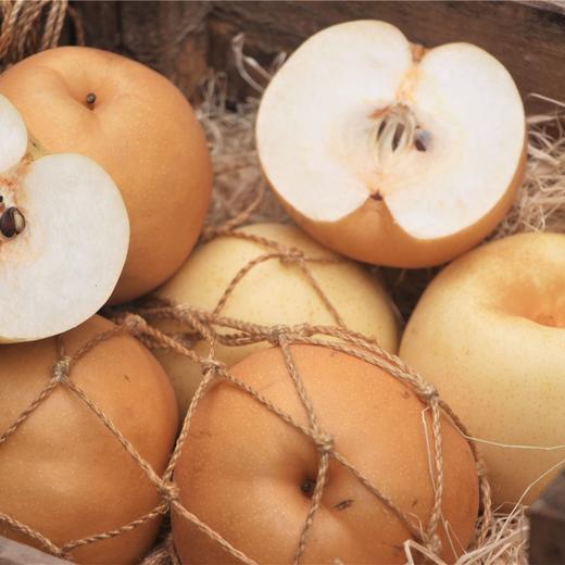 有机梨 | 多品种 香甜无渣 肉质饱满 滋润 |  基地直发包邮*Organic pears 商品图7