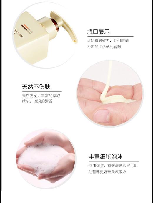 阿道夫生姜育发专研洗发水500ml（送小样3包）JPY带授权招加盟代理 商品图11