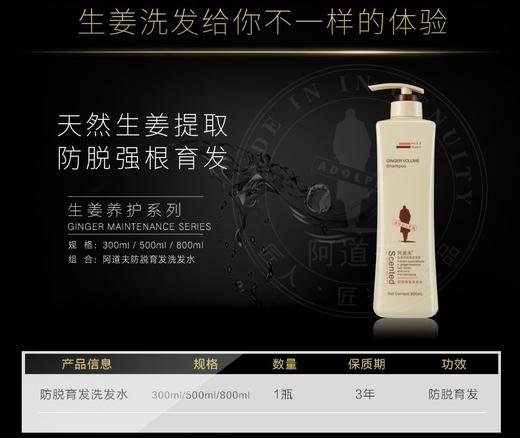 阿道夫生姜育发专研洗发水500ml（送小样3包）JPY带授权招加盟代理 商品图7