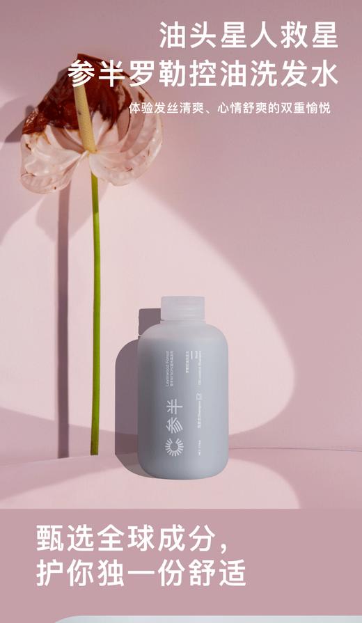 参半罗勒控油洗发水270mlJPY带授权招加盟代理 商品图3