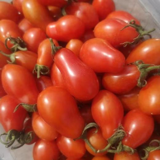 【花生牛奶小柿子】约重2斤装,正宗丹东货,味儿浓飙汁.