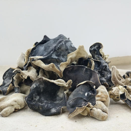 【乡村振兴】河南濮阳毛木耳干货  肉厚无根  清新爽口 商品图3