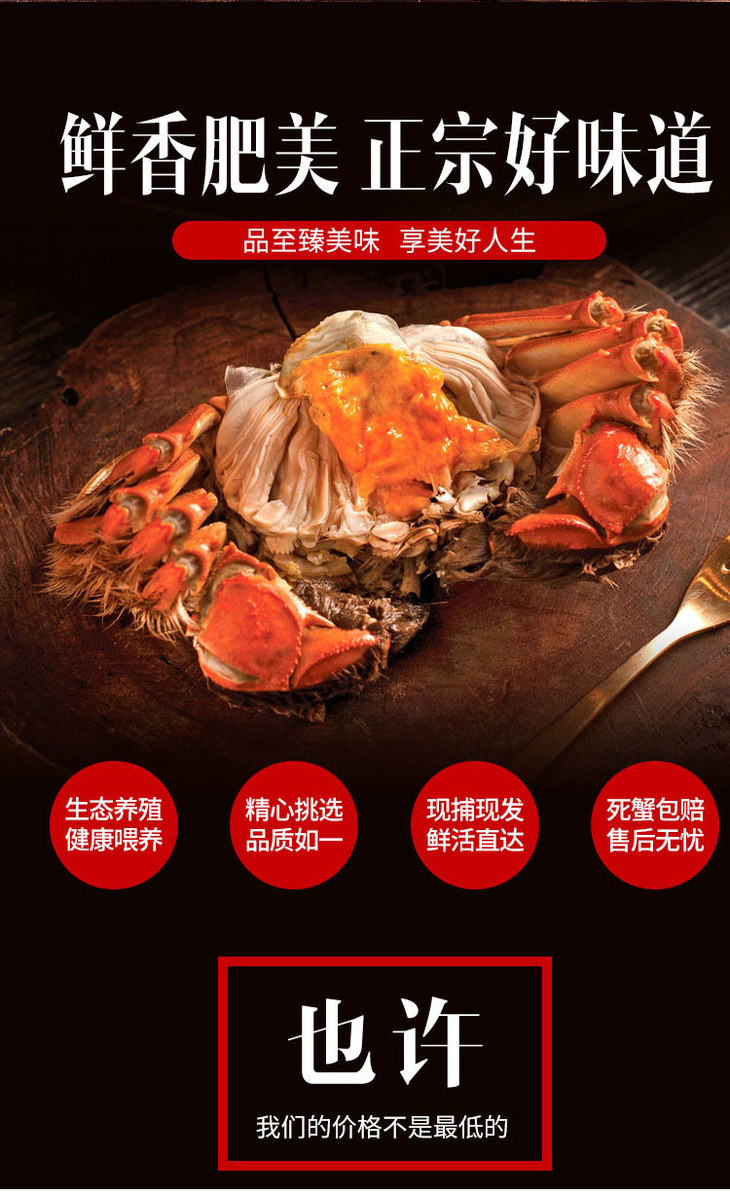 黄多肉足 阳澄湖大闸蟹 蟹肉饱满 鲜香味美 香味四溢
