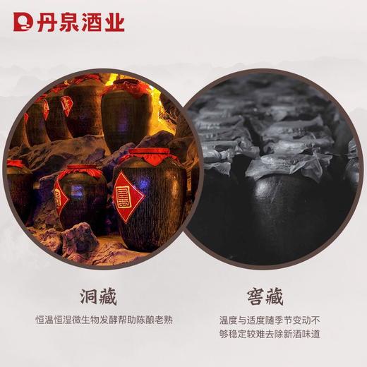 【酒厂专供】蓝瓷整箱500ml*6 商品图3