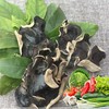 【乡村振兴】河南濮阳毛木耳干货  肉厚无根  清新爽口 商品缩略图4