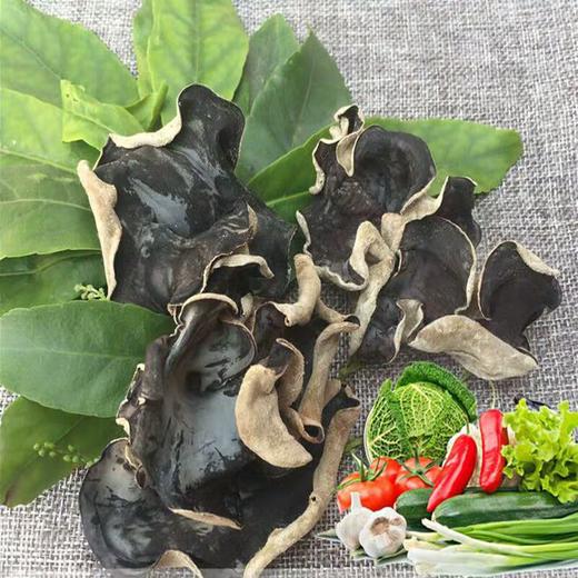 【乡村振兴】河南濮阳毛木耳干货  肉厚无根  清新爽口 商品图4