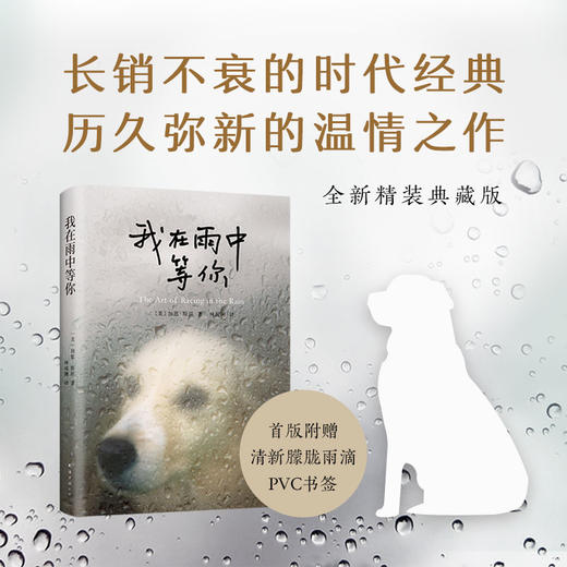 我在雨中等你 商品图3