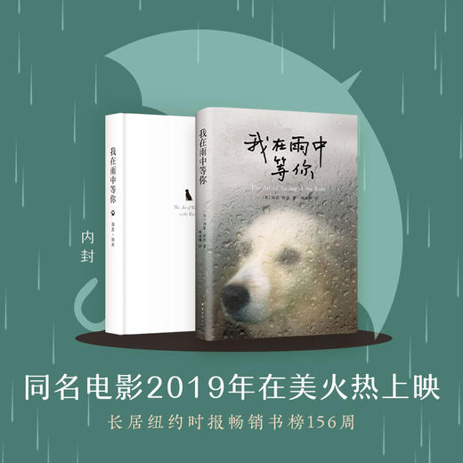 我在雨中等你 商品图2