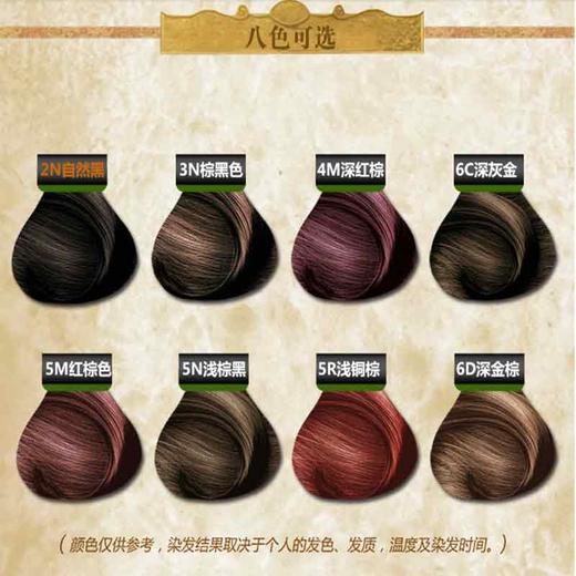 维彤天然植物力染发剂(自然黑2N) 商品图7