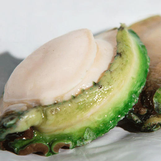 澳大利亚原产澳洲青边鲍225g300g只