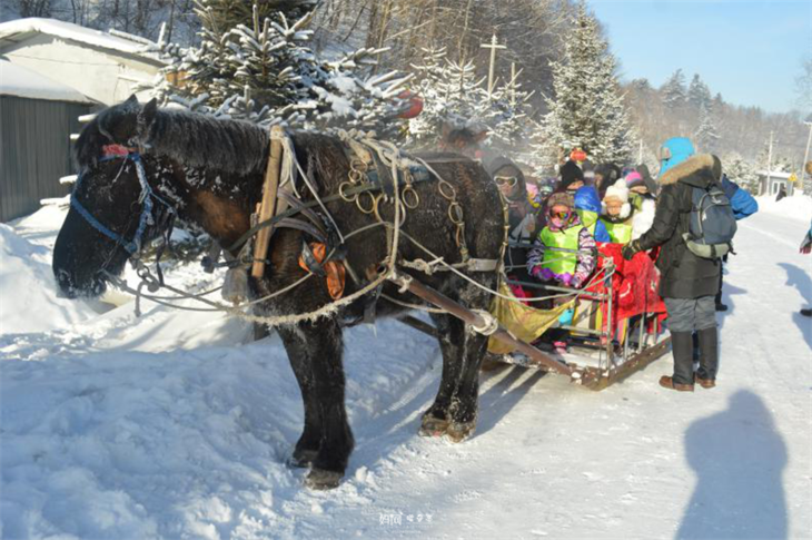 媽網寒假中國東北雪鄉五日親子之旅已成團哈爾濱感受