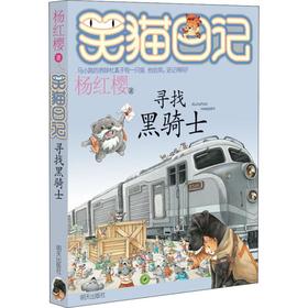 寻找黑骑士