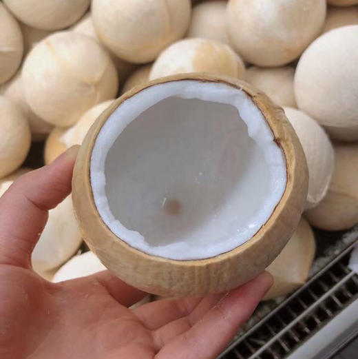 泰国椰皇椰香味浓郁