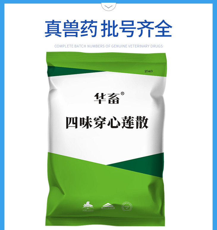华畜兽药四味穿心莲散500g除湿化瘀泻痢积滞大肠杆菌拉稀肠炎禽用中