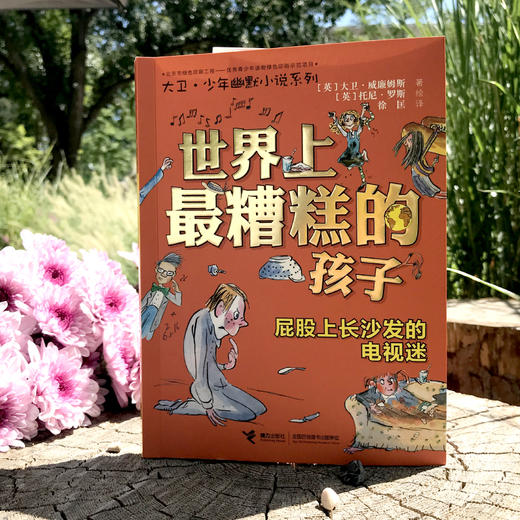 大卫·少年幽默小说系列 全12册 商品图6