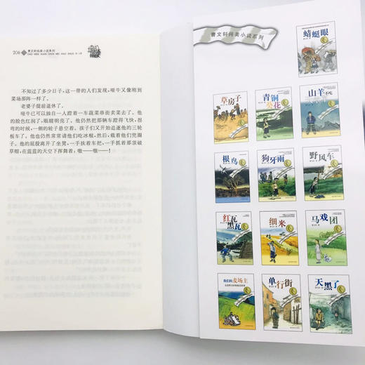 红瓦黑瓦 商品图4