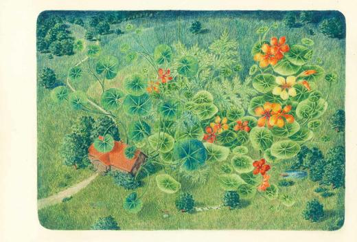 《遗失的灵魂》：诺贝尔文学奖新晋得主奥尔加·托卡尔丘克绘本小说 商品图7